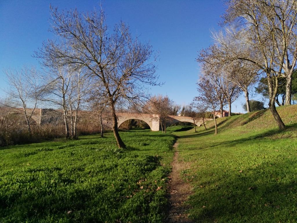 Newly Renovated Large Villa With Garden Castello  D'Empuries Esterno foto